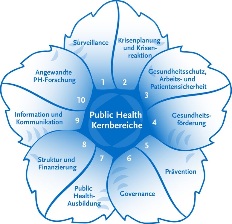 Die Public-Health-Blume des Robert Koch-Instituts. (© RKI) Die Public-Health-Blume des Robert Koch-Instituts.